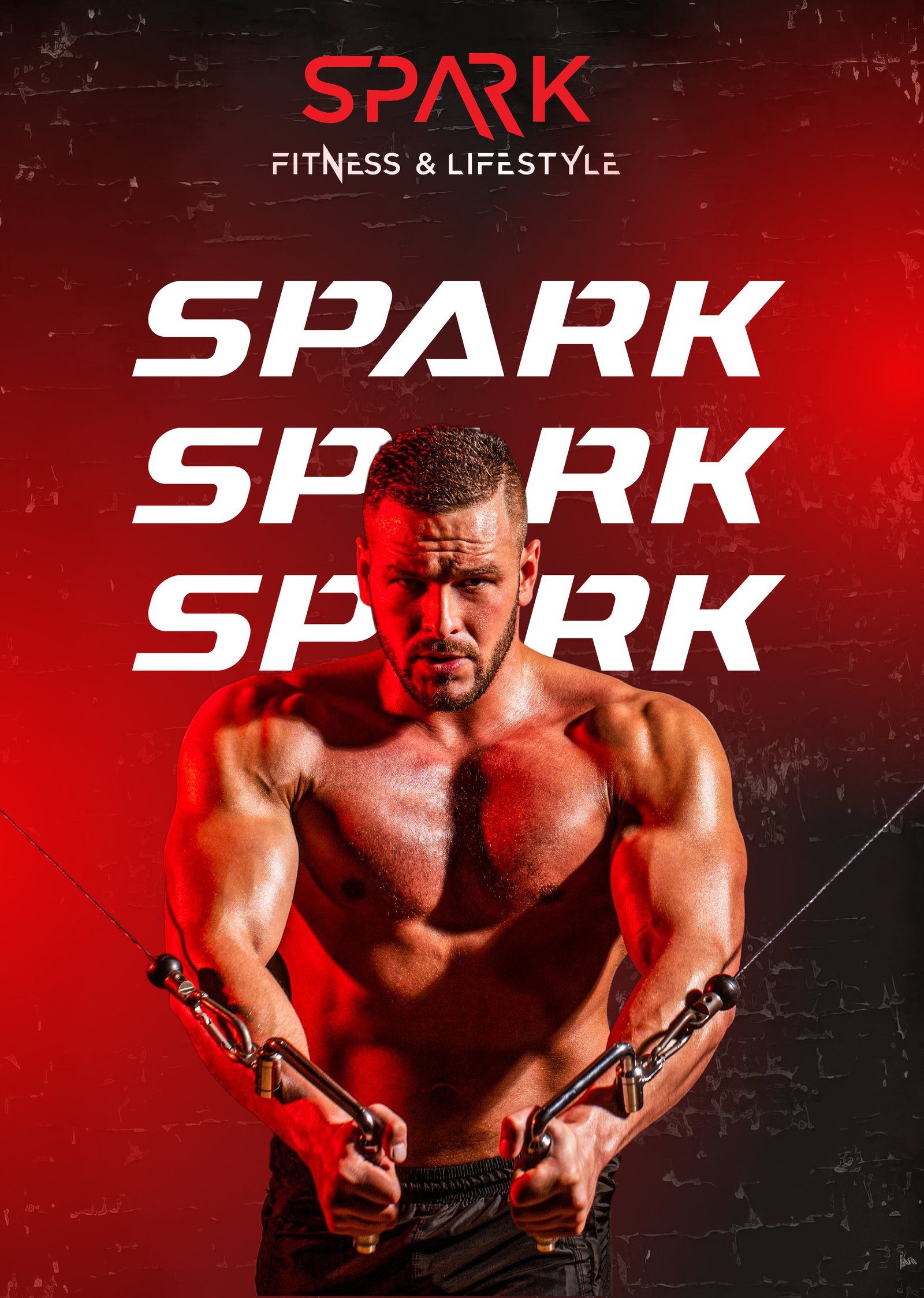 Spark Fitness & Lifestyle